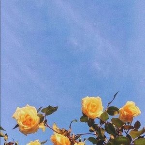 Meet your Posher, Rylie